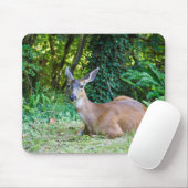Tapis De Souris Repose du cerf Mousepad (Avec souris)
