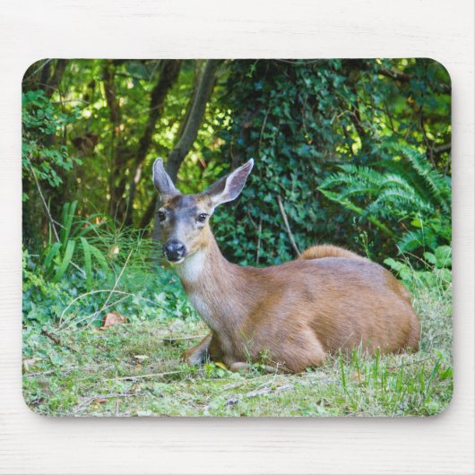 Tapis De Souris Repose du cerf Mousepad (Devant)