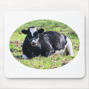 Tapis De Souris Repose Vache Laitière Cercle Arrière - plan transp