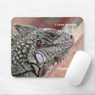 Tapis De Souris Reptile exotique