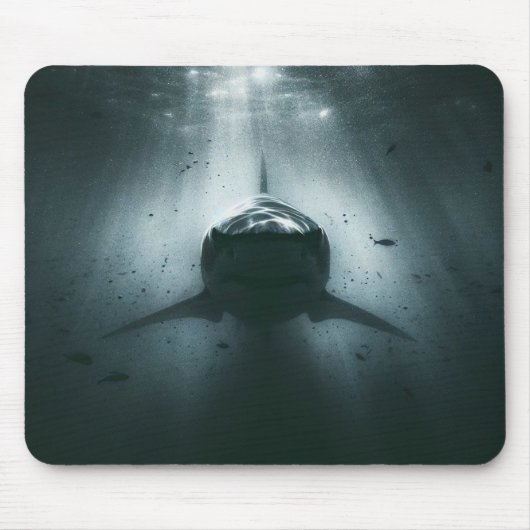 Tapis De Souris Requin (Devant)