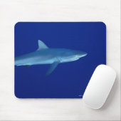 Tapis De Souris Requin (Avec souris)