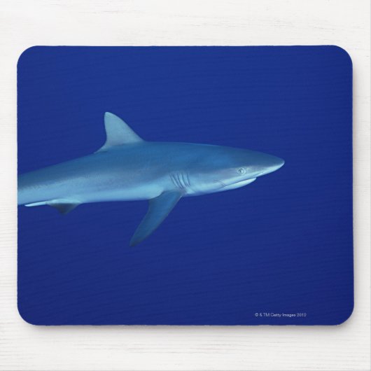 Tapis De Souris Requin (Devant)