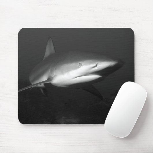 Tapis De Souris Requin (Avec souris)