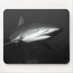 Tapis De Souris Requin
