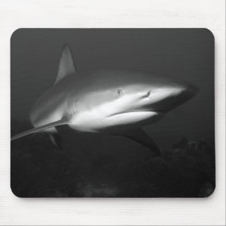 Tapis De Souris Requin