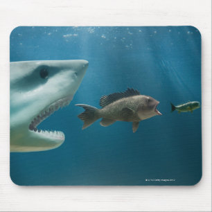 Tapis De Souris Requin chassant le bar de mer chassant le jeune
