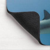 Tapis De Souris Requin de récif des Caraïbes (Coin)
