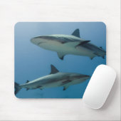 Tapis De Souris Requin de récif des Caraïbes (Avec souris)