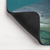 Tapis De Souris Requin de Taureau - leucas de Carcharhinus (Coin)