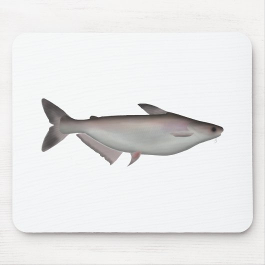 Tapis De Souris Requin Iridescendant (Devant)