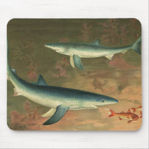 Tapis De Souris Requins Bleus Mangeant du Poisson, Vie Marine Vint