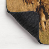 Tapis De Souris Réserve faunique de Moremi, Botswana (Coin)