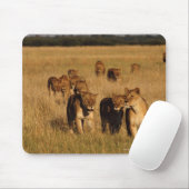 Tapis De Souris Réserve faunique de Moremi, Botswana (Avec souris)
