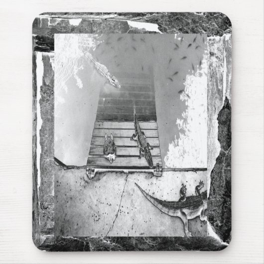 Tapis De Souris Réservoir de reptiles (Devant)