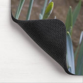 Tapis De Souris Ressort ! (Coin)