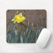 Tapis De Souris Ressort ! (Avec souris)