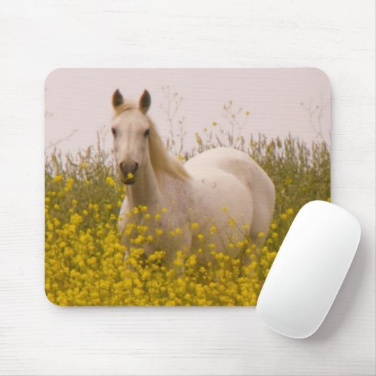 Tapis De Souris Ressort (Avec souris)