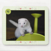 Tapis De Souris Ressort de furet - MousePad (Devant)