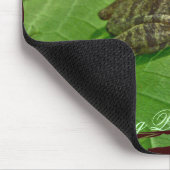 Tapis De Souris Ressort Peeper (Pseudacris crucifer) Treefrog Item (Coin)
