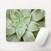 Tapis De Souris Ressort Succulent (Avec souris)