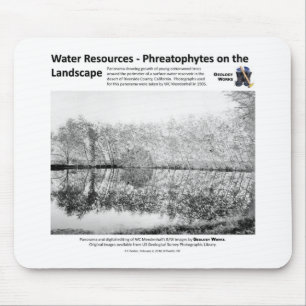 Tapis De Souris Ressources en eau I - Phreatophytes sur le paysage