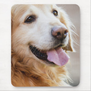 Tapis De Souris Rétife d'or, Chien, Chien heureux