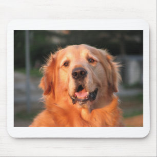 Tapis De Souris Retriever doré