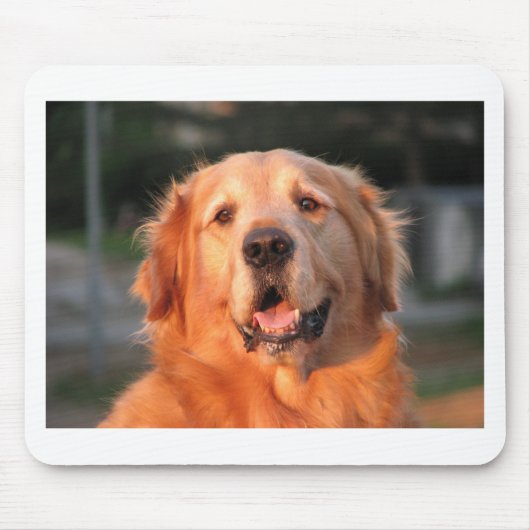 Tapis De Souris Retriever doré (Devant)