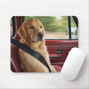 Tapis De Souris Retriever doré portant une ceinture de sécurité