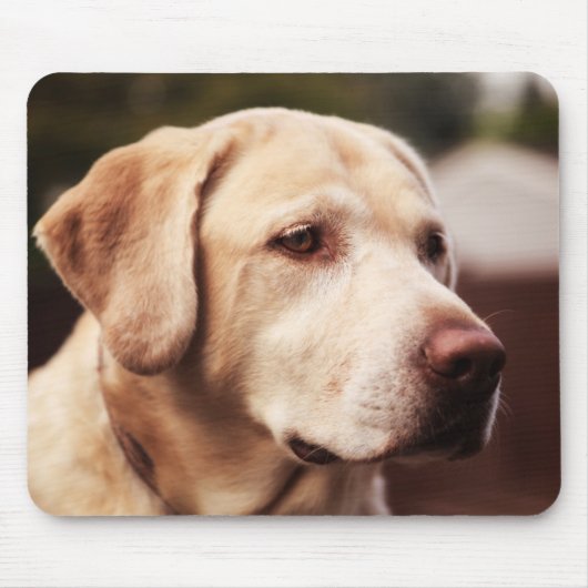 Tapis De Souris Retriever du Labrador (Devant)