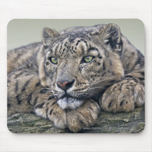 Tapis de souris Rêve de léopard (Devant)