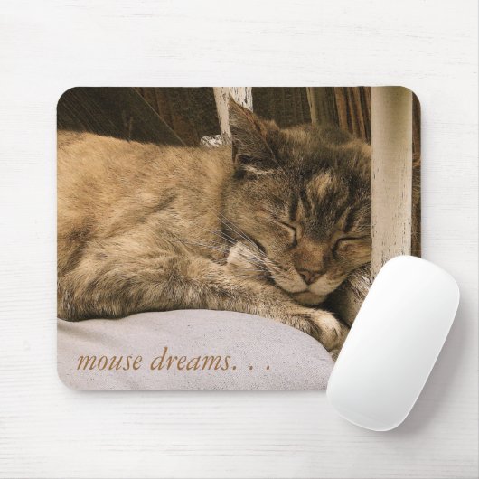 Tapis De Souris rêves de souris. (Avec souris)