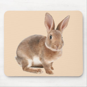Tapis De Souris Rex Rabbit
