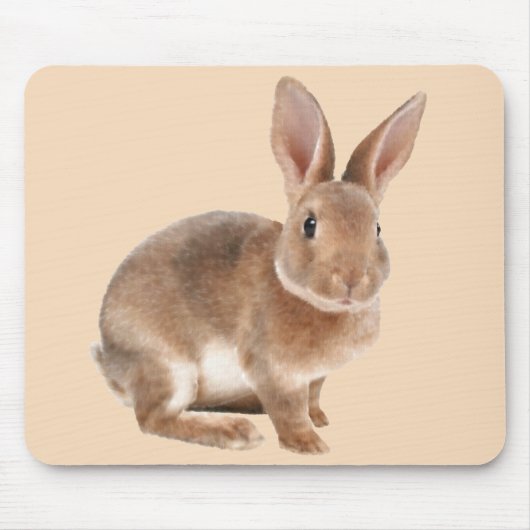 Tapis De Souris Rex Rabbit (Devant)