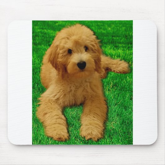 Tapis De Souris Rex The Goldendoodle (Devant)