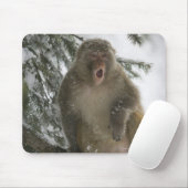 Tapis De Souris Rhesus Macaque singe (Macaca mulatta) assis (Avec souris)