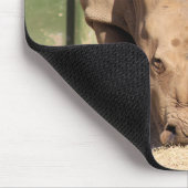 Tapis De Souris Rhino blanc (Coin)