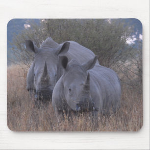 Tapis De Souris Rhinocéros blancs