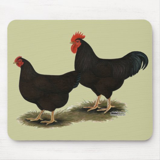 Tapis De Souris Rhode Island Red Bantams (Devant)