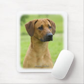 Tapis De Souris Rhodesian Ridgeback (Avec souris)