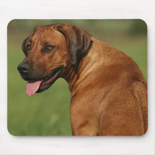 Tapis De Souris Rhodesian Ridgeback Mousepad (Devant)