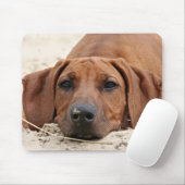 Tapis De Souris Rhodesian Ridgeback Muismat (Avec souris)