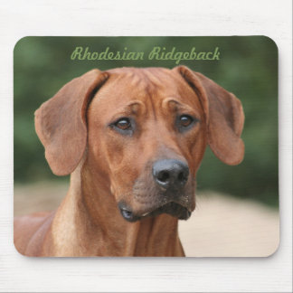 Tapis De Souris Rhodesian Ridgeback Muismat