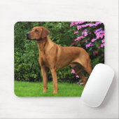 Tapis De Souris Rhodesian Ridgeback Muismat (Avec souris)