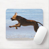 Tapis De Souris Rhodesian Ridgeback - saut (Avec souris)