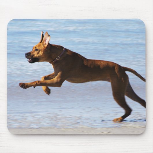 Tapis De Souris Rhodesian Ridgeback - saut (Devant)
