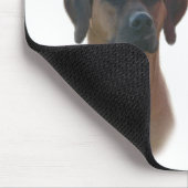 Tapis De Souris Rhodesian Ridgeback Trick (Coin)
