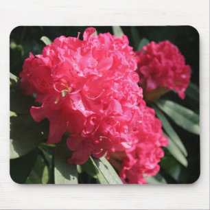 Tapis De Souris Rhododendron rose