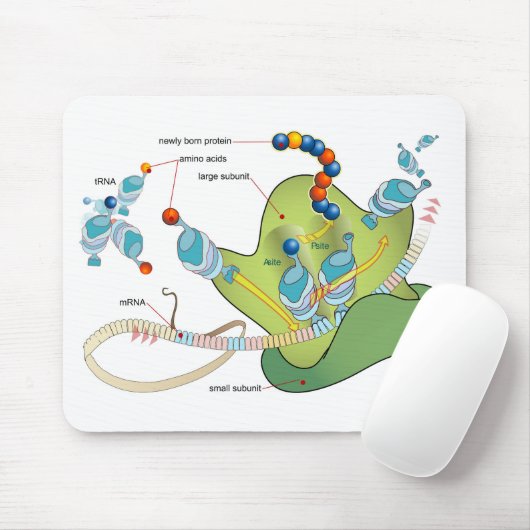 Tapis De Souris Ribosome mRNA tRNA molecules proteins Diagram  (Avec souris)